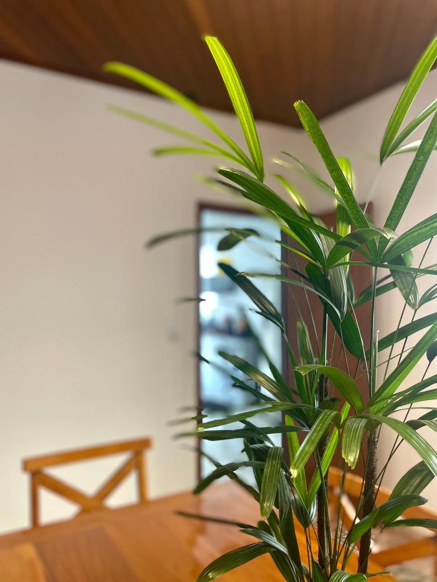 Casa Jabuticaba A 5 Min Dos Thermas E Hot Beach Olímpia 外观 照片