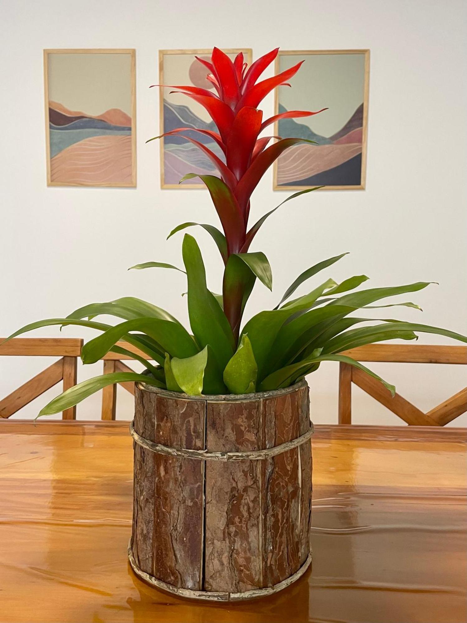 Casa Jabuticaba A 5 Min Dos Thermas E Hot Beach Olímpia 外观 照片